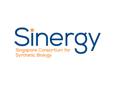 Sinergy-400x300